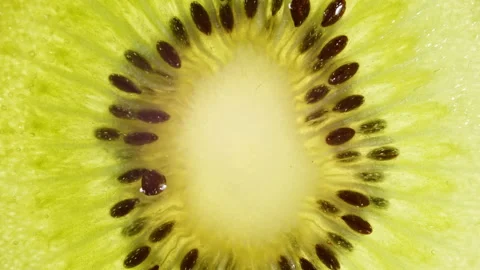 Macro Shot of Transparent Slice of Kiwi Fruit and Rotate. Closeup Fresh Kiwi Stock Footage 156613958