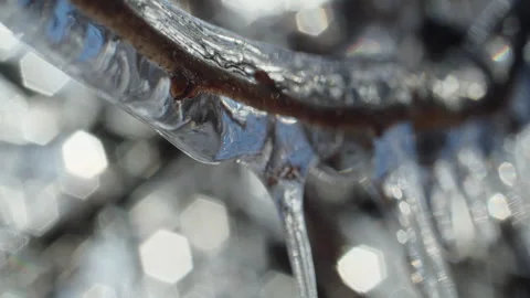 Macro shot of a tree branch encased in transparent ice with bokeh light 스톡 동영상 303666104