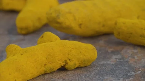 Macro shot of turmeric roots Stock Footage 137777377