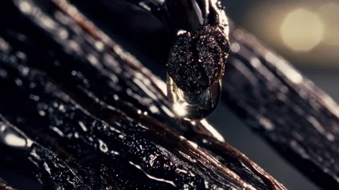 Macro shot of a vanilla pod with an essence drop about to fall in cinematic Stock Footage 308370150