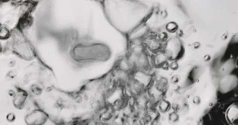 Macro shot of various air bubbles in water Stock Footage 149333988