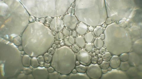 Macro shot of various air bubbles in water rising up on light blue background Stock Footage 174148468