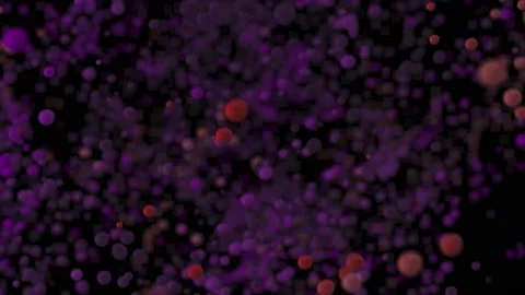 Macro shot of various air bubbles in water rising up on light blue background Stock Footage 239979620