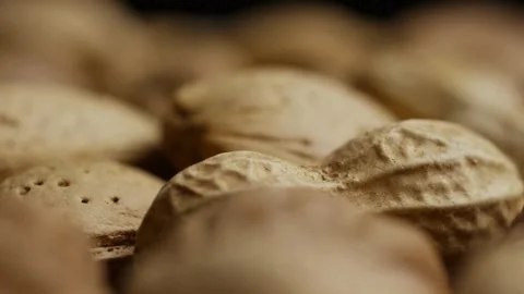 Macro shot of various nuts in their hard shells Stock Footage 327829229