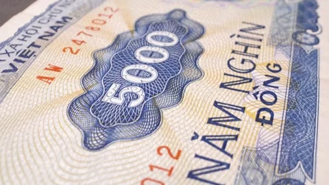 Macro shot of a Vietnamese 5,000-dong banknote with a sliding motion. Vidéo 301780946