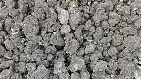 Macro Shot of Volcano Lava Rock Texture with Light Green Lichen Stock Footage 337835370
