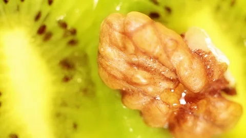 Macro shot of Walnuts putting on the kiwi Stock-Footage 73104471