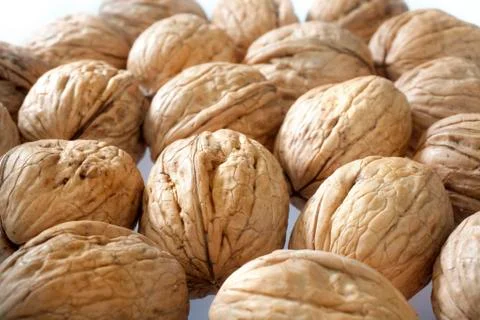 Macro shot of walnuts on table Stock Photos