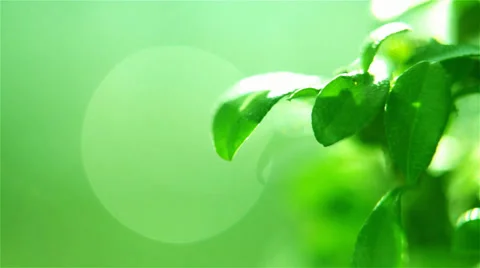 Macro shot of water drop Stock Footage 38006356