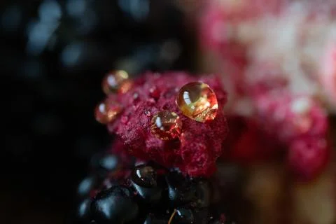 Macro shot of water droplets on raspberry and blackberry with light reflections Stock Photos
