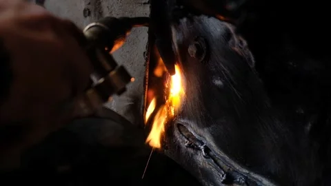 Macro Shot of Welding in Slow Motion Stock Footage 241703724