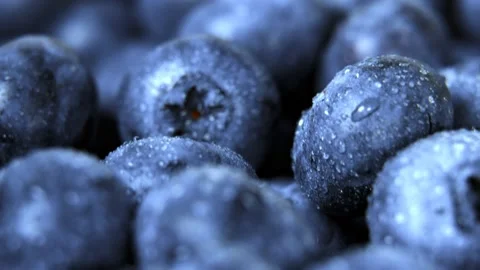 Macro shot of wet fresh blueberries. Stock Footage 136657331