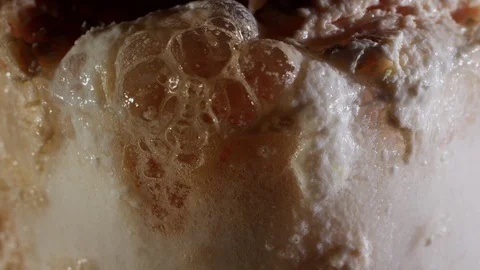 Macro shot of white bursting bubbles, very detailed structure of pink foam Stock Footage 107346769