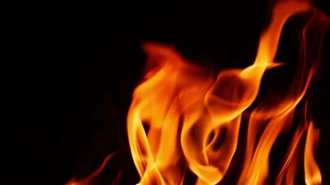 Macro shot of wild fire, Wild fire flames close view Stock Footage 150715125