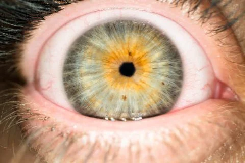 Macro shot of woman eyeball with small pupil. Close up of female eye ball Stock Photos