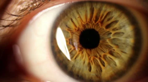 Macro shot of woman's eye blinking Video stock 28600770