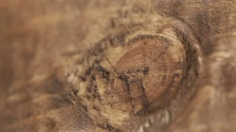 Macro Shot of Wood Surface 動画素材 145450148
