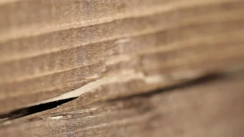 Macro Shot of Wood Surface 動画素材 145450272