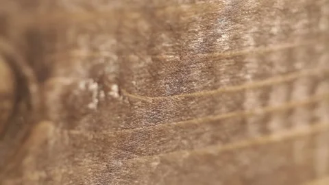 Macro Shot of Wood Surface 動画素材 145453765