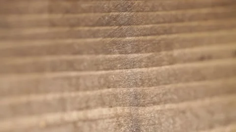 Macro Shot of Wood Surface 動画素材 145454926