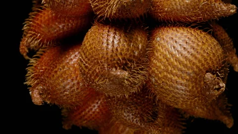 Macro side view of salak fruits rotating in slow motion with focus on shiny Video stock 313234875