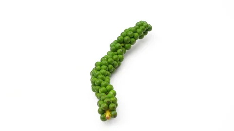 Macro Single Fresh Green Peppercorn Cluster Rotating White Background 動画素材 331116587