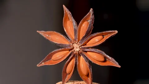 Macro Of Single Star Anise On Black Background Видео 331366111