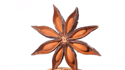 Macro Of Single Star Anise Isolated On White Background Видео 331365892