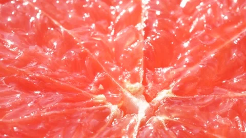 Macro slice of citrus orange graipfruit texture, closeup healthy food background Stock Footage 142247345