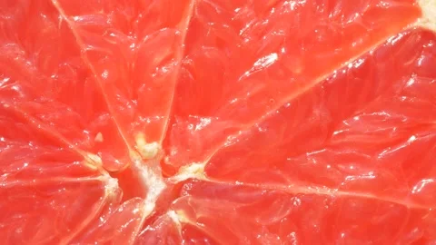 Macro slice of citrus orange graipfruit texture, closeup healthy food background Stock Footage 145299292