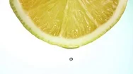 Macro Of A Slice Of Lemon, A Drop Falls In Slow Motion. Concept Of Fresh Fruit. Stock Footage