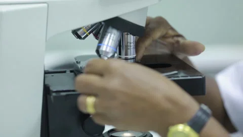Macro Slide On a Microscope in the lab Stock Footage 248631735