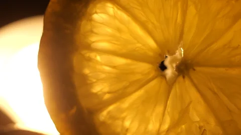 Macro Slider Shot of Backlit Lemon Slice in Sunlight 50p Stock Footage 336442109