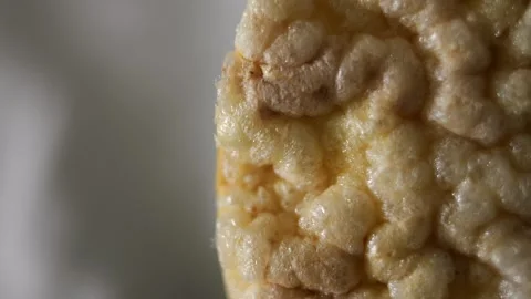 Macro Slider Shot of Corn Cake Texture in Side View 50p Stock Footage 336558880