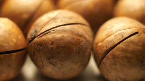 Macro Slider Shot of Macadamia Nuts in 50p Stock Footage 336721853