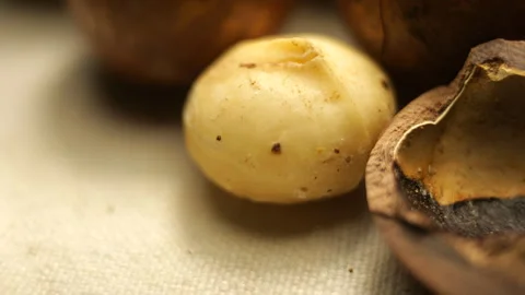 Macro Slider Shot of Opened Macadamia Nuts in 50p Stock Footage 336726496