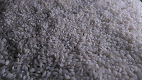 Macro Slider Shot of Rice Grains Texture in 50p Vidéo 336028709
