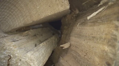 Macro sliding shot between big split open wood blocks Stock Footage 124015778