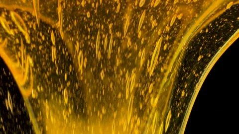Macro Slow Motion Bee Honey, Flow and Texture Stock Footage 328026093