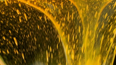 Macro Slow Motion Bee Honey, Flow and Texture Stock Footage 328472559