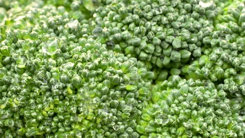 Macro Slow Motion Broccoli with Sparkling Water Droplets Stock Footage 327547629