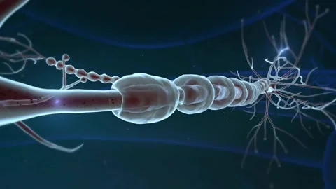 Macro Slow Motion View of High Tech Neuron Cell Impulse Activity Stock Footage 323779209