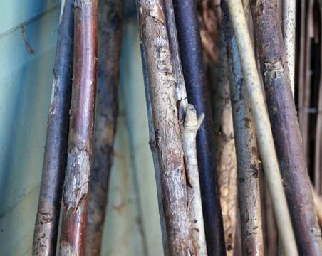 Macro of small thin sticks 库存照片
