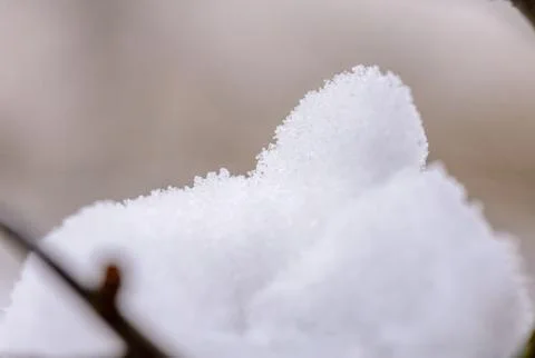 Macro of snow 写真素材