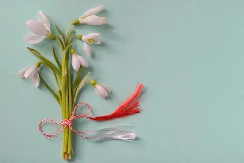 Macro snowdrops bucket Free Stock Photos