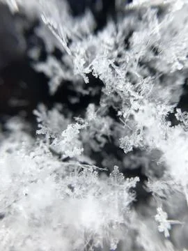 Macro snowflake, winter pattern, black background Stock Photos