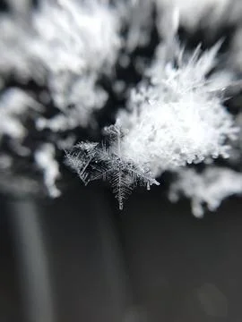 Macro snowflake, winter pattern, black background Stock Photos