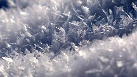 Macro Snowflakes Ice Crystals and Frosted Grass Stock Footage