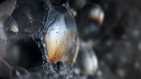 Macro Soap Bubbles Abstract Stock Footage 148667481