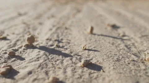 Macro of  someone going alone in the desert. Stock Footage 56058131
